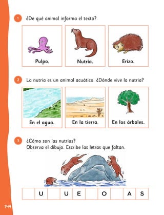 144
144
1 ¿De qué animal informa el texto?
Nutria. Erizo.
Pulpo.
La nutria es un animal acuático. ¿Dónde vive la nutria?
En la tierra. En los árboles.
En el agua.
2
3 ¿Cómo son las nutrias?
Observa el dibujo. Escribe las letras que faltan.
U U E O A S
 