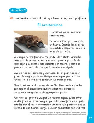 27
27
Escucha atentamente el texto que leerá tu profesor o profesora:
El ornitorrinco
El ornitorrinco es un animal
sorprendente.
Es un mamífero pero nace de
un huevo. Cuando las crías ya
han salido del huevo, toman la
leche de su madre.
Su cuerpo parece formado con partes de distintos animales:
tiene cola de castor, patas de nutria y pico de pato. Es de
color café y su cuerpo está cubierto por muchos pelos que
guardan una capa de aire que lo mantiene abrigado.
Vive en ríos de Tasmania y Australia. Es un gran nadador
y pasa la mayor parte del tiempo en el agua, pero excava
túneles en la tierra para construir sus madrigueras.
El ornitorrinco adulto es carnívoro. Se alimenta de animales
que hay en el agua como gusanos marinos, caracoles,
camarones, cangrejos de río y pequeños peces.
Fue visto por primera vez por un marino inglés, quien envió
un dibujo del ornitorrinco y su piel a los científicos de su país,
pero los científicos lo encontraron tan raro, que pensaron que se
trataba de una broma. Luego pudieron comprobar que ¡era real!
Equipo elaborador | Fuentes: Wikipedia, en http://es.wikipedia.org/wiki/Ornithorhynchus_anatinus
Foto: http://jornaldosbichos.blogspot.com/2011/06/clima-ornitorrincos-estao-ameacados-na.html
Actividad 2
 