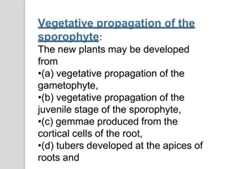 Vegetative propagation of the
sporophyte:
The new plants may be developed
from
•(a) vegetative propagation of the
gametophyte,
•(b) vegetative propagation of the
juvenile stage of the sporophyte,
•(c) gemmae produced from the
cortical cells of the root,
•(d) tubers developed at the apices of
roots and
 