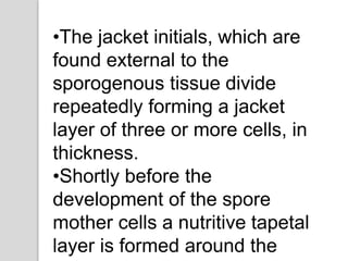 •The jacket initials, which are
found external to the
sporogenous tissue divide
repeatedly forming a jacket
layer of three or more cells, in
thickness.
•Shortly before the
development of the spore
mother cells a nutritive tapetal
layer is formed around the
 