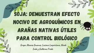 Soja: demuestran efecto
nocivo de agroquímicos en
arañas nativas útiles
para control biológico
Grupo: Alvarez Emanue, Luciano Laquintana, Nicole
Inda y Guillermo Fredo.
 