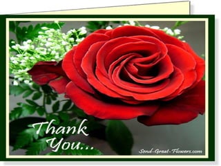 Lydia hall (core, care & cure) nursing theory