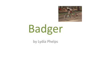 Badger by Lydia Phelps  