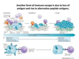 Another form of immune escape is due to loss of
antigen and rise in alternative peptide antigens.
 