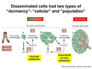 Disseminated cells had two types of
“dormancy”- “cellular” and “population”
Goss and Chambers, Nat Rev Cancer 2010
CELLULAR
DORMANCY
POPULATION
(of cells)
DORMANCY
DISSEMINATED METASTATIC
 