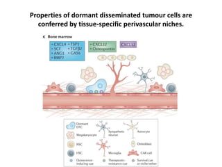Properties of dormant disseminated tumour cells are
conferred by tissue-specific perivascular niches.
 