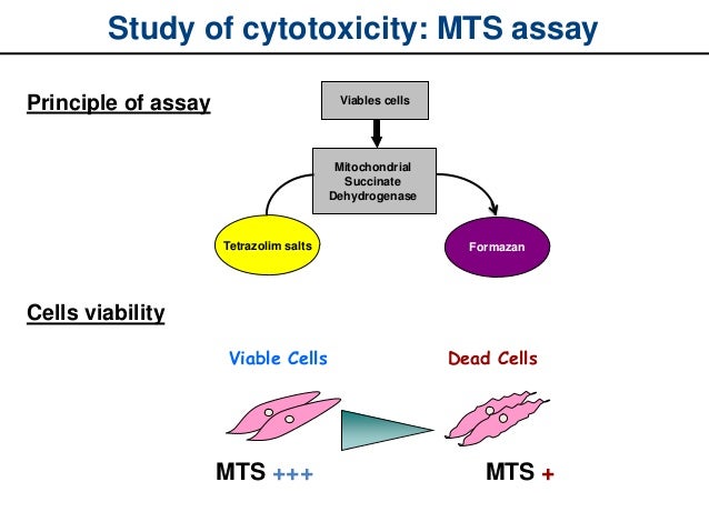 mts assay under fontanacountryinn com mts assay