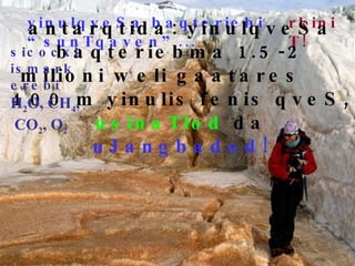 yinulqveSa baqteriebi “sunTqaven”...  rkiniT! antarqtida: yinulqveSa baqteriebma 1.5-2 milioni weli gaatares  400 m yinulis fenis qveS,   usinaTlod   da  uJangbadod! sicocxlismarkerebi   H 2 O ,  CH 4 ,   CO 2 , O 2 