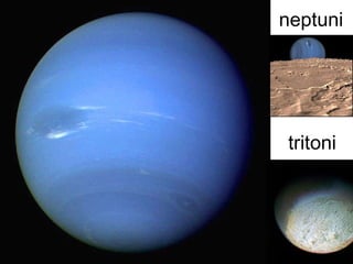 neptuni tritoni 