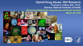 Opioid Drug Abuse: NIH Research
Francis S. Collins, M.D., Ph.D.
Director, National Institutes of Health
5th Annual National Rx Drug Abuse and Heroin Summit
March 29, 2016
 