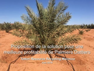 1
Juin 2019
Proposition de la solution pour une
meilleure profitabilité de Palmiers Dattiers
Tottori Resource Recycling Morocco
 