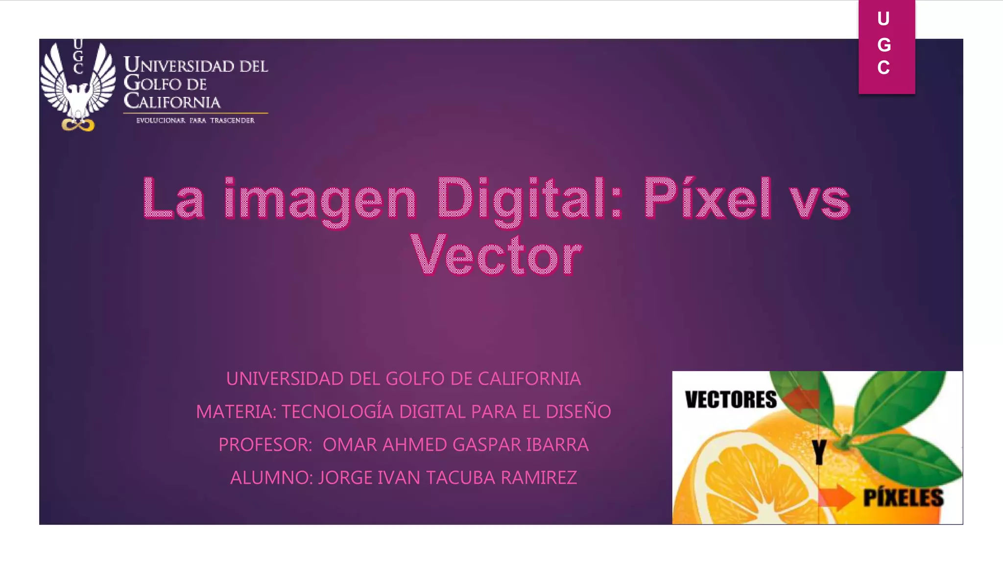 La imagen digital pixel vs vector | PPTX | Graphics Software | Computer ...
