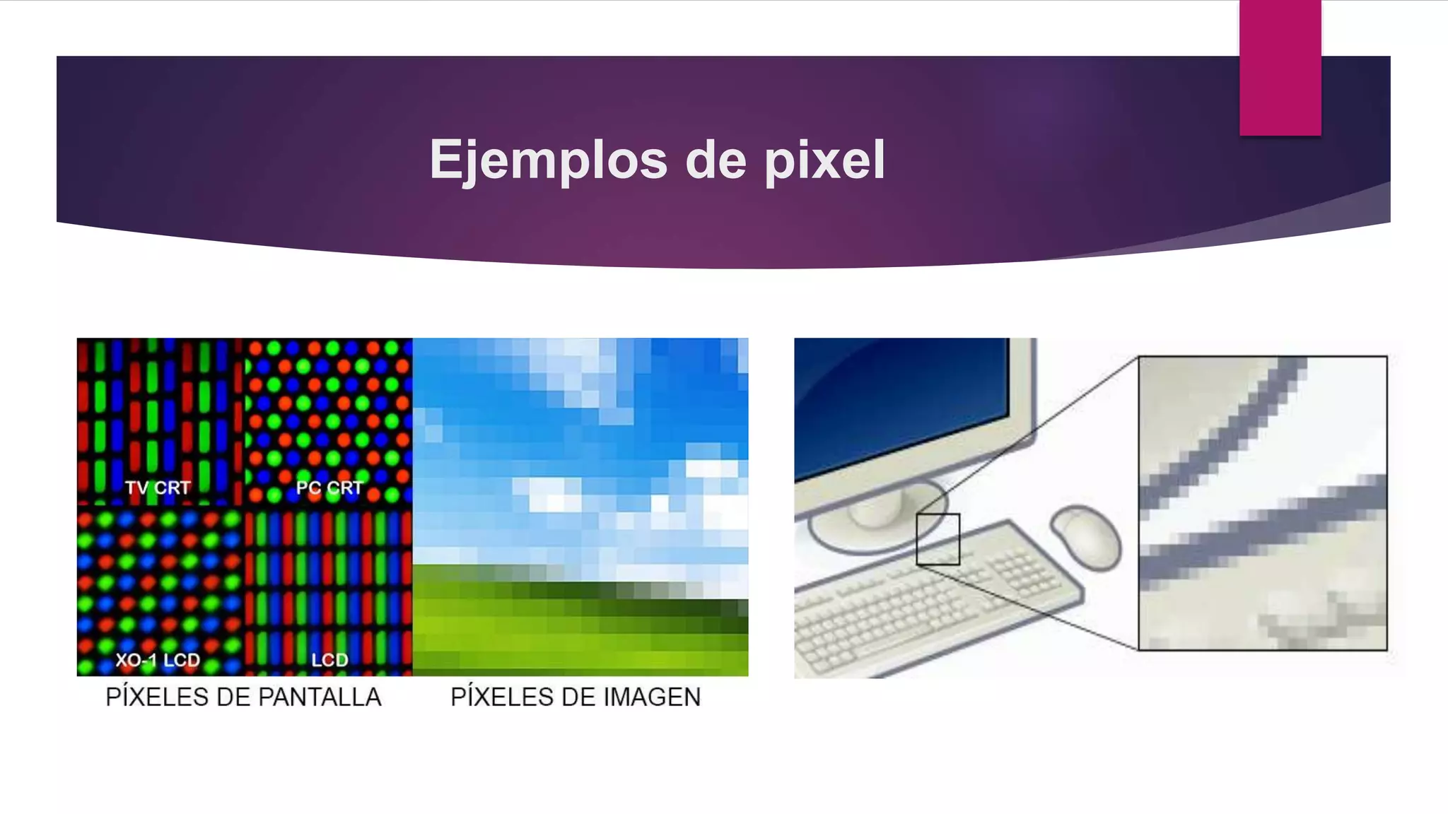 La imagen digital pixel vs vector | PPTX | Graphics Software | Computer ...