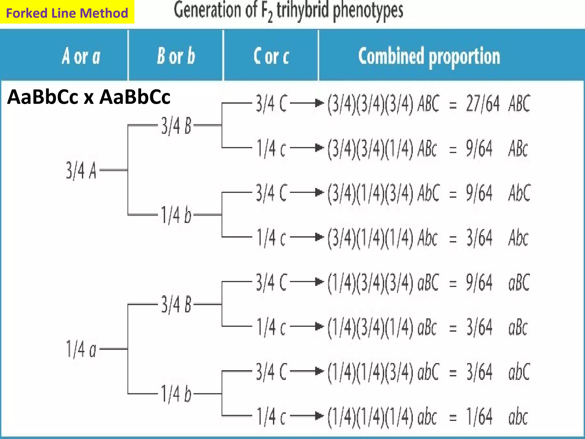 taboo genetics lec ppt | PPT