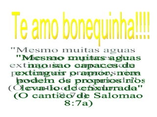 Te amo bonequinha!!!! "Mesmo muitas aguas nao sao capaces de  extinguir o amor, nem podem os proprios rios leva-lo de enxurrada"  (O cantico de Salomao  8:7a) 