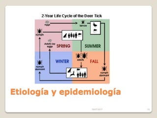 16/07/2017 10
Etiología y epidemiología
 