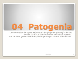04 PatogeniaLa enfermedad de Lyme pertenece a un grupo de patologías en las
que es común el daño vascular y el neurotropismo.
Las lesiones granulomatosas y el tropismo por células endoteliales.
15/07/2017 14
 