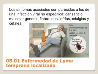 05.01 Enfermedad de Lyme
temprana localizada
Los síntomas asociados son parecidos a los de
una infección viral no específica: cansancio,
malestar general, fiebre, escalofríos, mialgias y
cefalea
 