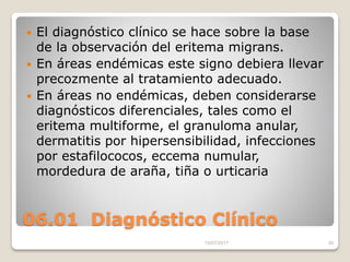 06.01 Diagnóstico Clínico
 El diagnóstico clínico se hace sobre la base
de la observación del eritema migrans.
 En áreas endémicas este signo debiera llevar
precozmente al tratamiento adecuado.
 En áreas no endémicas, deben considerarse
diagnósticos diferenciales, tales como el
eritema multiforme, el granuloma anular,
dermatitis por hipersensibilidad, infecciones
por estafilococos, eccema numular,
mordedura de araña, tiña o urticaria
15/07/2017 30
 