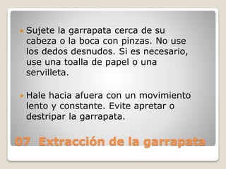  Sujete la garrapata cerca de su
cabeza o la boca con pinzas. No use
los dedos desnudos. Si es necesario,
use una toalla de papel o una
servilleta.
 Hale hacia afuera con un movimiento
lento y constante. Evite apretar o
destripar la garrapata.
07 Extracción de la garrapata
 