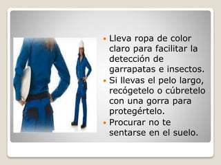  Lleva ropa de color
claro para facilitar la
detección de
garrapatas e insectos.
 Si llevas el pelo largo,
recógetelo o cúbretelo
con una gorra para
protegértelo.
 Procurar no te
sentarse en el suelo.
 