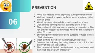 PREVENTION
06
• Avoid tick-infested areas, especially during summer months
• Walk on cleared or paved surfaces when available, rather
than tall grass
• Wear long pants, sleeved shirts, and close-toed shoes
• Light-colored clothing makes it easier to locate a tick
• Always check for ticks whenever coming from outdoors. The
risk of Lyme disease is minimized when the tick is removed
within 36 hours.
• Showering immediately after being outdoors reduces the risk
of tick attachment
• Wash clothing that's been outdoors (dryer kills ticks)
• Remove the tick only by using tweezers to pull the tick
directly off the skin (no twisting)
• After removal of the tick, wash site with soap and water and
then swab the area with antiseptic [4]
 