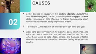 CAUSES
02
• Lyme disease is caused by the bacteria Borrelia burgdorferi
and Borrelia mayonii, carried primarily by black-legged or deer
ticks. Young brown ticks often are no bigger than a poppy seed,
which can make them nearly impossible to spot.
• To contract Lyme disease, an infected deer tick must bite you.
• Deer ticks generally feed on the blood of deer, small birds, and
mice, but are opportunistic and will also feed on the blood of
other hosts such as cats, dogs, horses, and humans. Infected
deer ticks transmit the bacteria to their host during the process of
feeding.
 