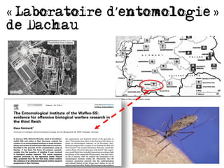 Borréliose de Lyme -Une histoire toujours secrète  