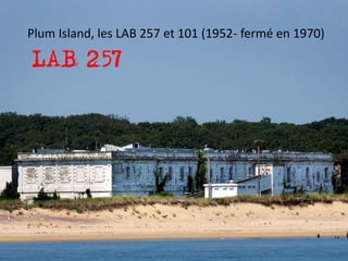 Plum Island, les LAB 257 et 101 (1952- fermé en 1970)
 