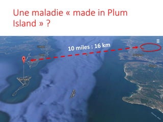 Une maladie « made in Plum
Island » ?
 