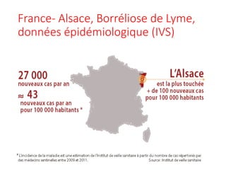 France- Alsace, Borréliose de Lyme,
données épidémiologique (IVS)
 