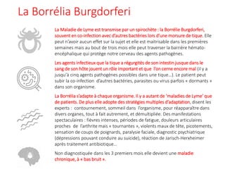 La Borrélia Burgdorferi
La Maladie de Lyme est transmise par un spirochète : la Borrélie Burgdorferi,
souvent en co-infection avec d’autres bactéries lors d’une morsure de tique. Elle
peut n’avoir aucun effet sur la sujet et elle est maitrisable dans les premières
semaines mais au bout de trois mois elle peut traverser la barrière hémato-
encéphalique qui protège notre cerveau des agents pathogènes.
Les agents infectieux que la tique a régurgités de son intestin jusque dans le
sang de son hôte jouent un rôle important et que l’on cerne encore mal (il y a
jusqu’à cinq agents pathogènes possibles dans une tique…). Le patient peut
subir la co-infection d’autres bactéries, parasites ou virus parfois « dormants »
dans son organisme.
La Borrélia s’adapte à chaque organisme. Il y a autant de ‘maladies de Lyme’ que
de patients. De plus elle adopte des stratégies multiples d’adaptation, disent les
experts : contournement, sommeil dans l’organisme, pour réapparaître dans
divers organes, tout à fait autrement, et démultipliée. Des manifestations
spectaculaires : fièvres intenses, périodes de fatigue, douleurs articulaires
proches de l’arthrite mais « tournantes », violents maux de tête, picotements,
sensation de coups de poignards, paralysie faciale, diagnostic psychiatrique
(dépressions pouvant conduire au suicide), réaction de Jarisch-Herxheimer
après traitement antibiotique…
Non diagnostiquée dans les 3 premiers mois elle devient une maladie
chronique, à « bas bruit ».
 