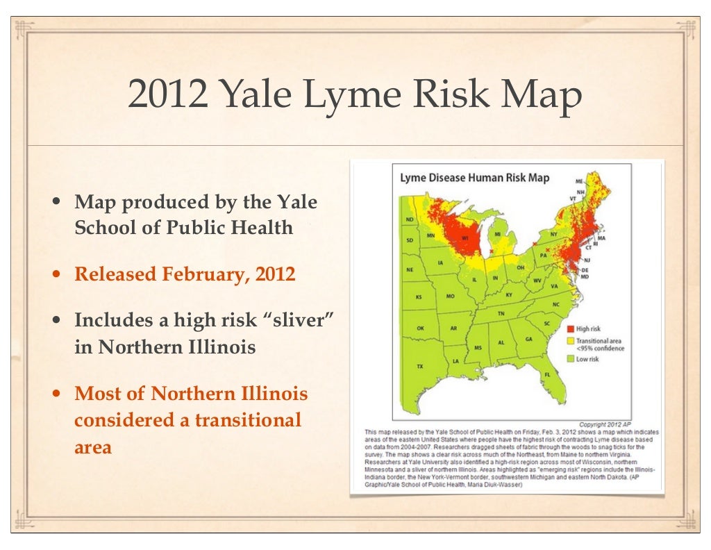 Image: Lyme Disease