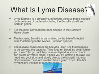 What Is Lyme Disease?
   Lyme Disease is a spreading, infectious disease that is caused
    by three types of bacteria including the Borrelia afzelii and
    Borrelia garinii.

   It is the most common tick-born disease in the Northern
    Hemisphere

   The bacteria, Borrelia is transmitted by the bite of infected
    ticks that belong to the Ixodes. (Infected species)

   The disease comes from the bite of a Deer Tick that happens
    to be carrying the bacteria. Ticks feed on blood, so when it bite
    you it won‟t let go until they have multiplied in size so that it
    can‟t store anymore blood. It bites you by jamming its claw-like
    head into your skin, and slowly directs the bacteria into your
    blood stream. Ticks are smaller than a grain of rice. The tick
    nymphs are the size of a poppy seed.
 