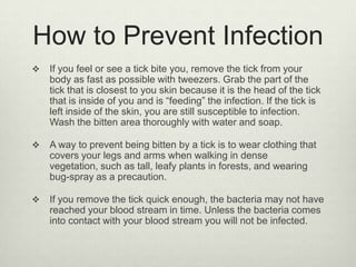 How to Prevent Infection
   If you feel or see a tick bite you, remove the tick from your
    body as fast as possible with tweezers. Grab the part of the
    tick that is closest to you skin because it is the head of the tick
    that is inside of you and is “feeding” the infection. If the tick is
    left inside of the skin, you are still susceptible to infection.
    Wash the bitten area thoroughly with water and soap.

   A way to prevent being bitten by a tick is to wear clothing that
    covers your legs and arms when walking in dense
    vegetation, such as tall, leafy plants in forests, and wearing
    bug-spray as a precaution.

   If you remove the tick quick enough, the bacteria may not have
    reached your blood stream in time. Unless the bacteria comes
    into contact with your blood stream you will not be infected.
 