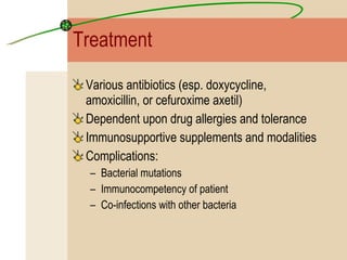 Treatment Various antibiotics (esp. doxycycline, amoxicillin, or cefuroxime axetil) Dependent upon drug allergies and tolerance Immunosupportive supplements and modalities Complications: Bacterial mutations Immunocompetency of patient Co-infections with other bacteria 