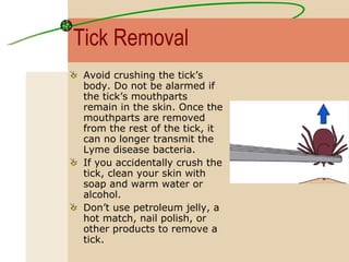 Tick Removal Avoid crushing the tick’s body. Do not be alarmed if the tick’s mouthparts remain in the skin. Once the mouthparts are removed from the rest of the tick, it can no longer transmit the Lyme disease bacteria.  If you accidentally crush the tick, clean your skin with soap and warm water or alcohol. Don’t use petroleum jelly, a hot match, nail polish, or other products to remove a tick. 