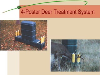 4-Poster Deer Treatment System 