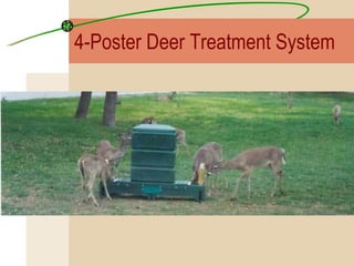 4-Poster Deer Treatment System 