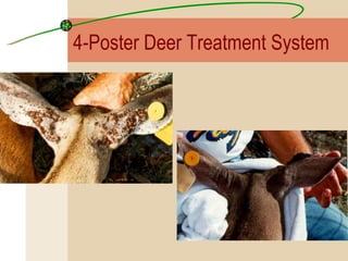 4-Poster Deer Treatment System 
