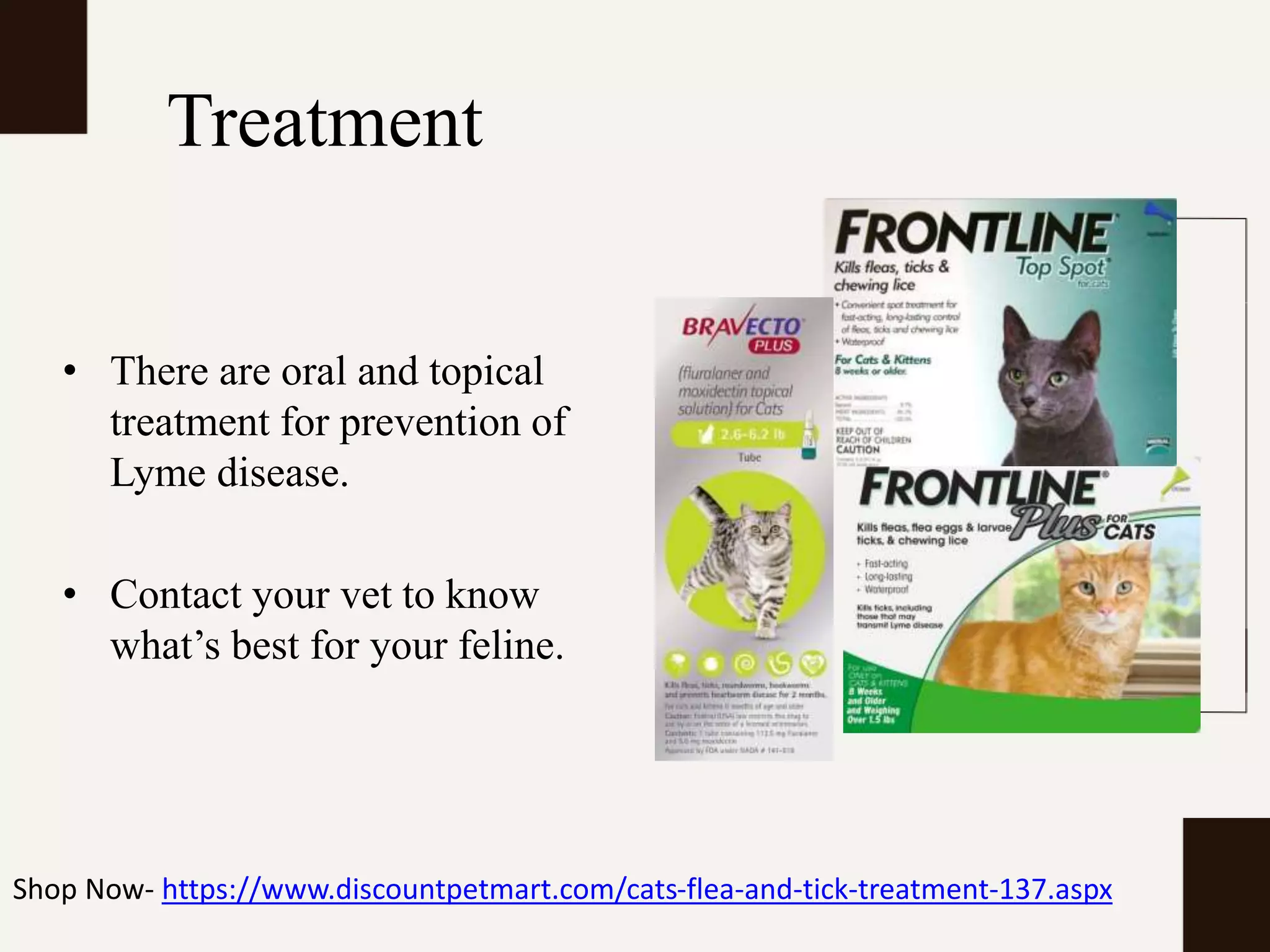 Lyme Disease in Cats | PPTX