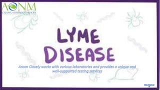 Lyme disease Testing