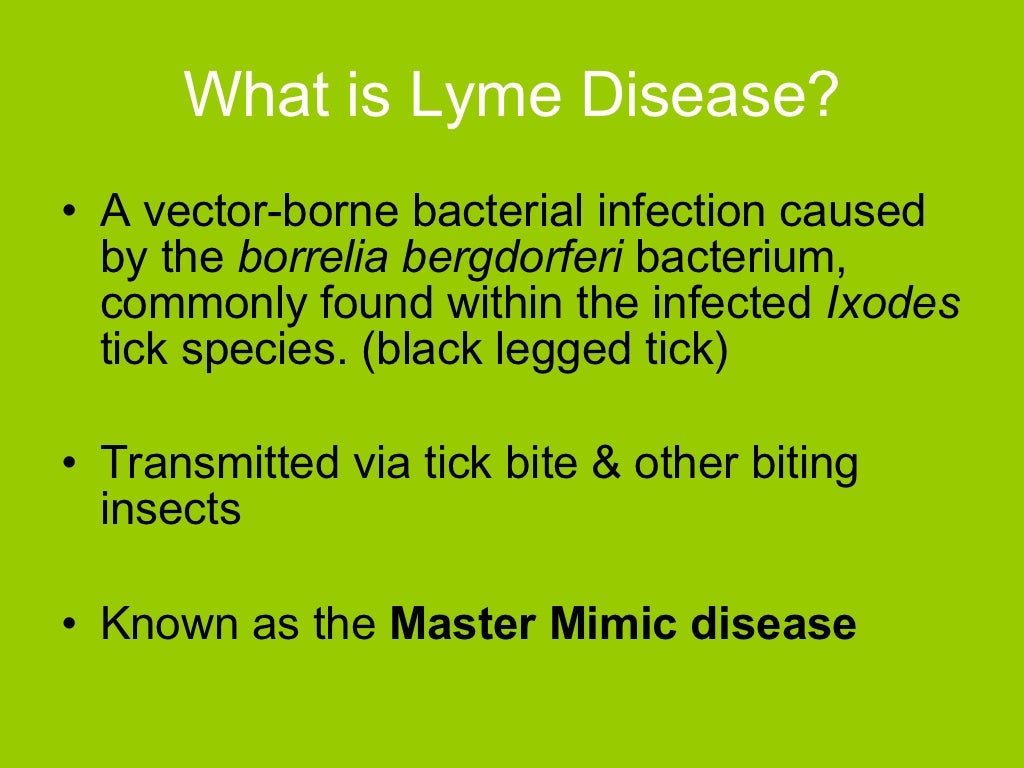 Lyme Disease
