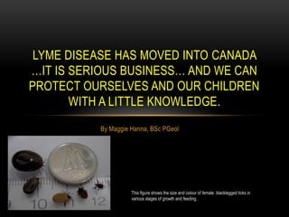 By Maggie Hanna, BSc PGeol
LYME DISEASE HAS MOVED INTO CANADA
…IT IS SERIOUS BUSINESS… AND WE CAN
PROTECT OURSELVES AND OUR CHILDREN
WITH A LITTLE KNOWLEDGE.
This figure shows the size and colour of female blacklegged ticks in
various stages of growth and feeding.
 