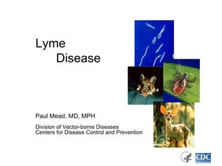 Lyme  Disease Paul Mead, MD, MPH Division of Vector-borne Diseases Centers for Disease Control and Prevention 