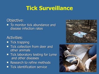 Tick Surveillance Objective :  To monitor tick abundance and  disease infection rates  Activities : Tick trapping Tick collection from deer and other animals Tick laboratory testing for Lyme  and other diseases  Research to refine methods Tick identification service 