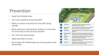 Prevention
• Avoid tick-infested areas
• Use insect repellent containing DEET
• Bathe or shower and check for ticks after being
outside
• Wear protective clothing & put clothes in a hot dryer
for 10 minutes to kill any ticks attached
• Use “tick-safe landscaping”
• Apply pesticides to yards
• Discourage tick-infested deer by removing plants that
attract deer
 