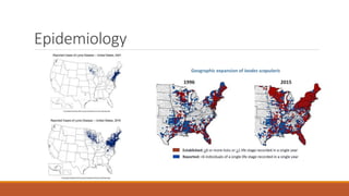 Epidemiology
Geographic expansion of Ixodes scapularis
 