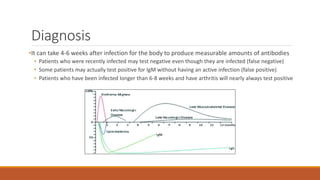 Diagnosis
•It can take 4-6 weeks after infection for the body to produce measurable amounts of antibodies
• Patients who were recently infected may test negative even though they are infected (false negative)
• Some patients may actually test positive for IgM without having an active infection (false positive)
• Patients who have been infected longer than 6-8 weeks and have arthritis will nearly always test positive
 