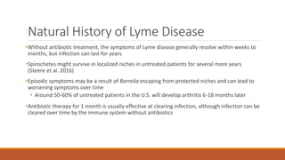Natural History of Lyme Disease
•Without antibiotic treatment, the symptoms of Lyme disease generally resolve within weeks to
months, but infection can last for years
•Spirochetes might survive in localized niches in untreated patients for several more years
(Steere et al. 2016)
•Episodic symptoms may be a result of Borrelia escaping from protected niches and can lead to
worsening symptoms over time
• Around 50-60% of untreated patients in the U.S. will develop arthritis 6-18 months later
•Antibiotic therapy for 1 month is usually effective at clearing infection, although infection can be
cleared over time by the immune system without antibiotics
 